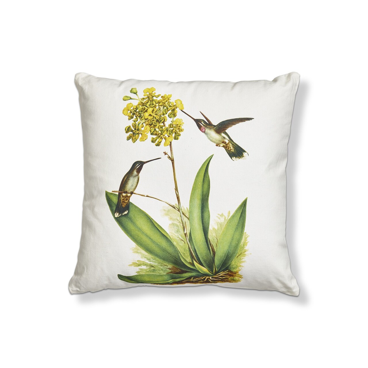Hummingbird throw pillows sale